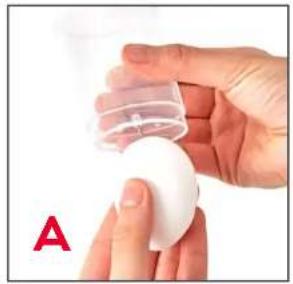 Dash Express DEC207 - BOILING EGGS - 1