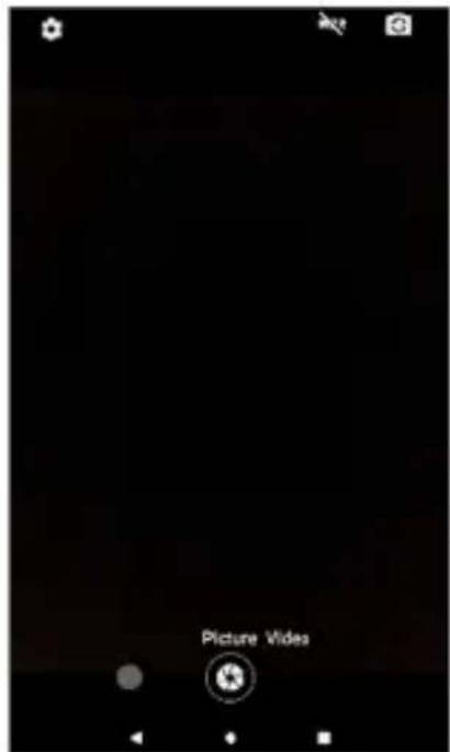 Picture Video