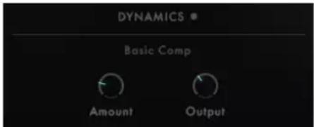 DYNAMICS Basic Comp Amount Output