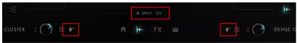 SPLIT: C1 CLUSTER 8' FX 8' DENSE