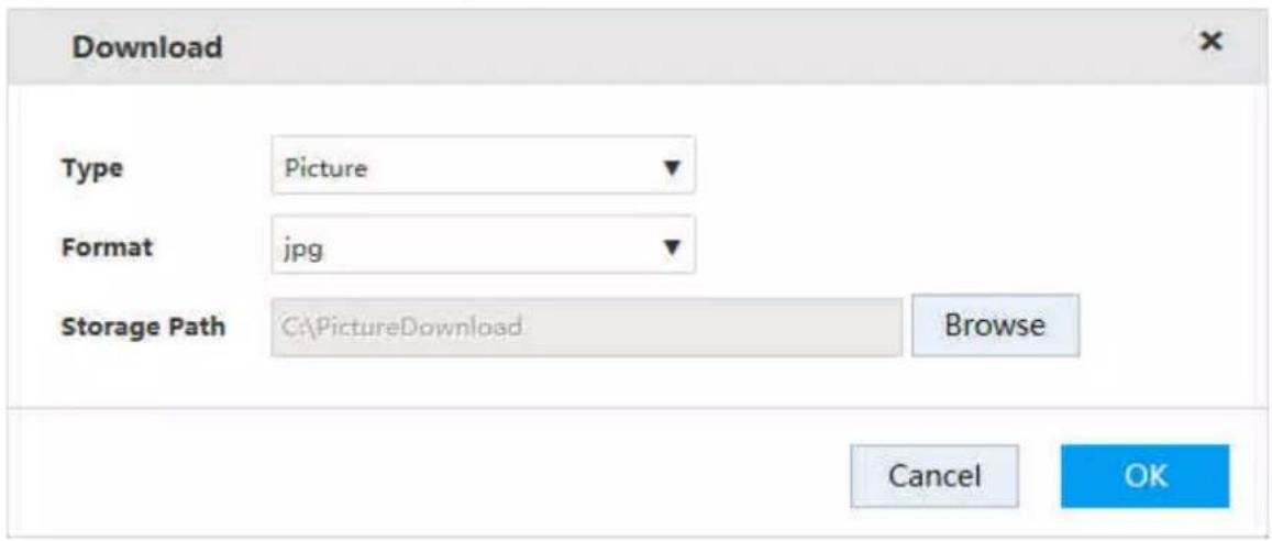 Download Type Picture Format jpg Storage Path C:\PictureDownload Browse Cancel OK