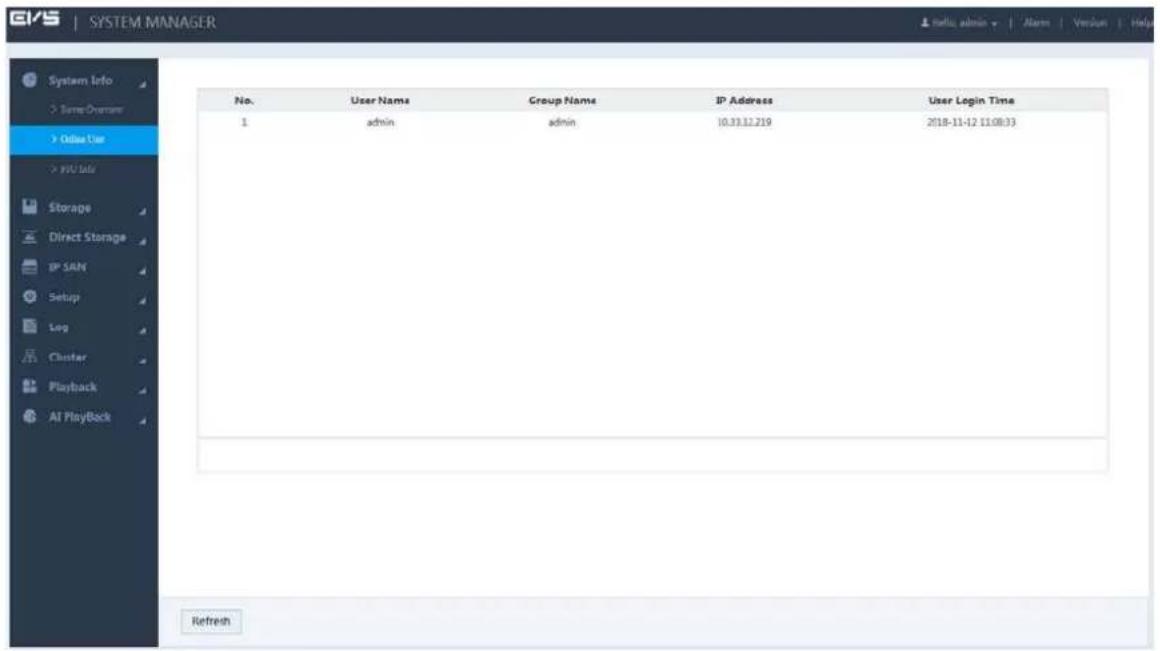 System Info > Name Overview > Online Use > Web Info Storage Direct Storage IP SAN Setup Log Closter Playback AI Playback No. User Name Group Name IP Address User Login Time 1 admin admin 10.33.12.219 2018-11-12 11:08:33 Refresh