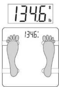 134.6* lb 1346: