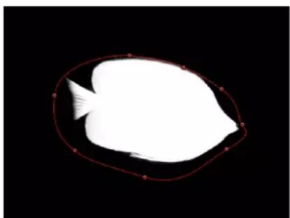 APPLE Motion 5.1 - Parameters in the Mask Inspector - 8
