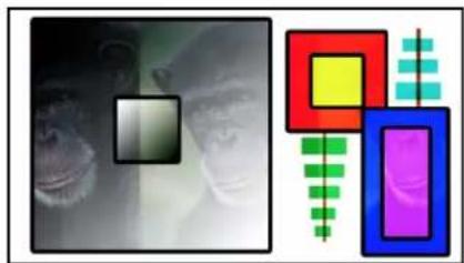 APPLE Motion 5.1 - Complex blend modes - 7