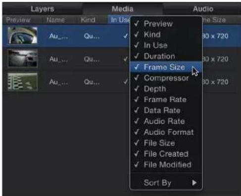 Layers Preview Au_... Qu... Au_... Qu... Au_... Qu... Media In Use Preview Kind In Use Duration Frame Size Compressor Depth Frame Rate Data Rate Audio Rate Audio Format File Size File Created File Modified Audio Sort By