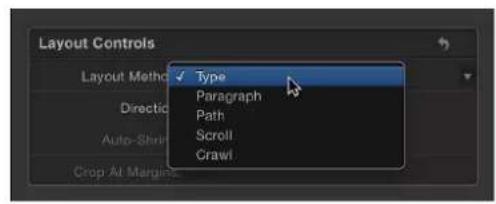 Layout Controls Layout Method Direction Auto-Shrink Crop Alt Margins ✓ Type Paragraph Path Scroll Crawl