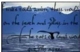 I miss colds away, they would on the beach and play in the The cat's gold was your free.
