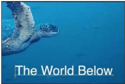 The World Below