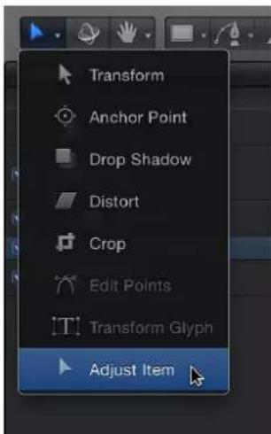 Transform Anchor Point Drop Shadow Distort Crop Edit Points Transform Glyph Adjust Item