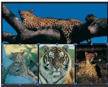 APPLE Motion 5.1 - Transform multiple layers - 1