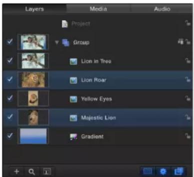 Layers Media Audio Project Group Lion in Tree Lion Roar Yellow Eyes Majestic Lion Gradient