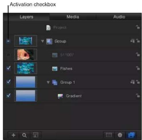 Activation checkbox Layers Media Audio Project Group 511007 Fishes Group 1 Gradient