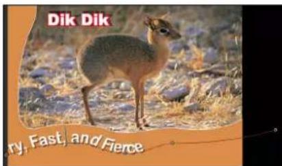 Dik Dik ry, Fast, and Fierce