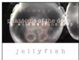 phantom of the deep particles of the drop jellyfish