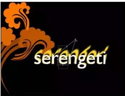serengeti