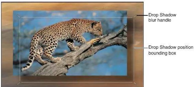Drop Shadow blur handle Drop Shadow position bounding box