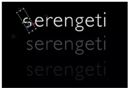 serengeti serengeti serengeti