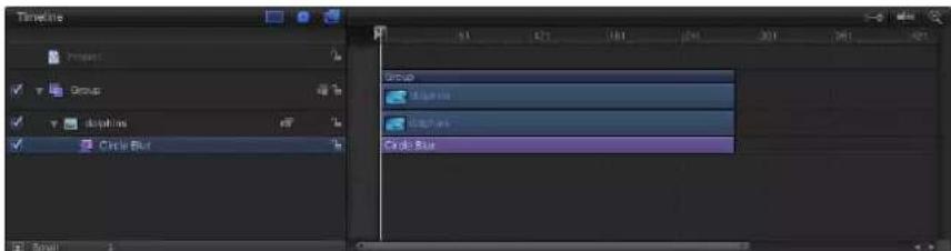 Timeline Project Group displays Circle Blur Group Audio Audio Blue