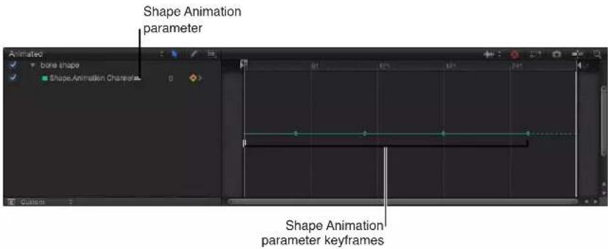 Shape Animation parameter Shape Animation parameter keyframes