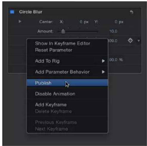 Circle Blur Center: X: 0 px Y: 0 px Amount: 10.0 Show In Keyframe Editor Reset Parameter Add To Rig Add Parameter Behavior Publish Disable Animation Add Keyframe Delete Keyframe Previous Keyframe Next Keyframe