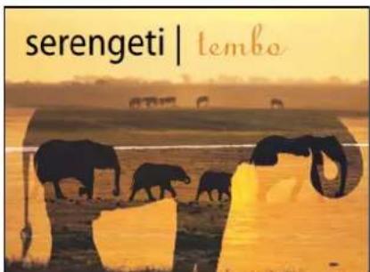 serengeti | tembo