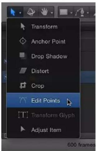Transform Anchor Point Drop Shadow Distort Crop Edit Points Transform Glyph Adjust Item