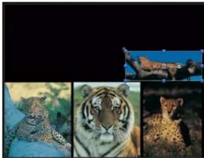 APPLE Motion 5.1 - Transform a single layer - 2