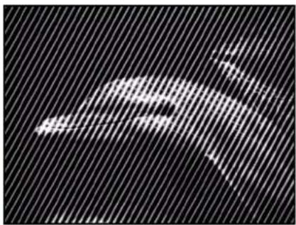 APPLE Motion 5.1 - Hatched Screen - 2