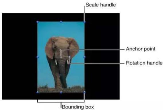 Scale handle Anchor point Rotation handle Bounding box