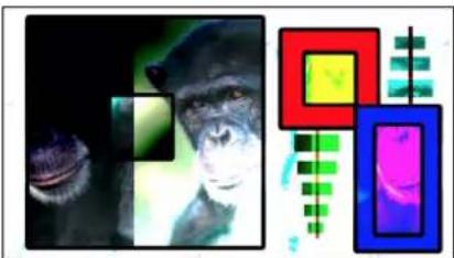 APPLE Motion 5.1 - Complex blend modes - 13