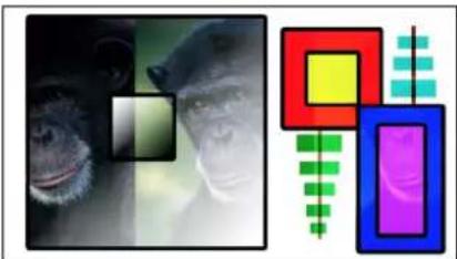 APPLE Motion 5.1 - Complex blend modes - 11