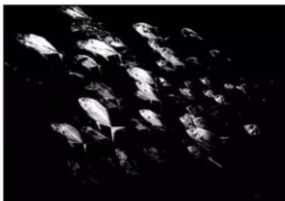 APPLE Motion 5.1 - Threshold - 2