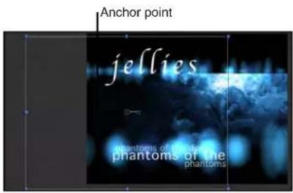 Anchor point jellies — Phantoms of the Phantom Phantoms of the Phantom