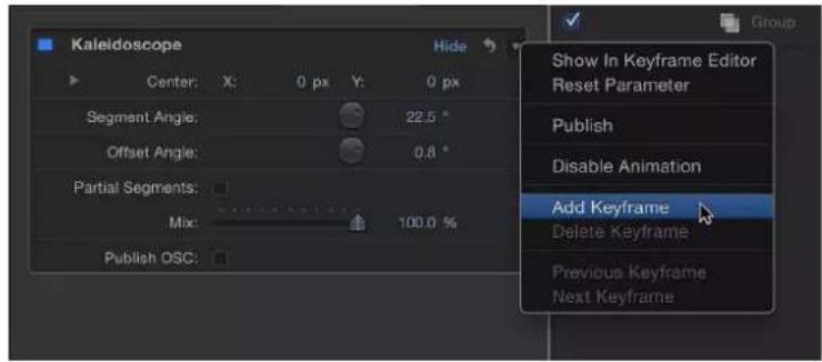 Kaleidoscope Hide Center: X: 0 px Y: 0 px Segment Angle: 22.5 ° Offset Angle: 0.8 ° Partial Segments: Mix: 100.0 % Publish OSC: Show In Keyframe Editor Reset Parameter Publish Disable Animation Add Keyframe Delete Keyframe Previous Keyframe Next Keyframe