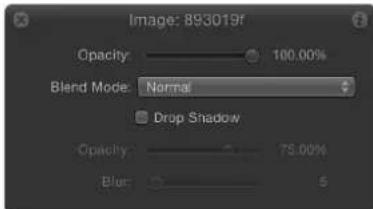 Image: 893019f Opacity 100.00% Blend Mode: Normal Drop Shadow Opacity 75.00% Blur 5
