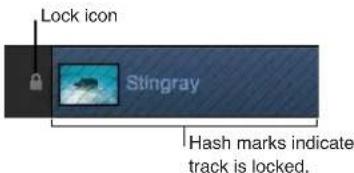 Lock icon Stingray Hash marks indicate track is locked.