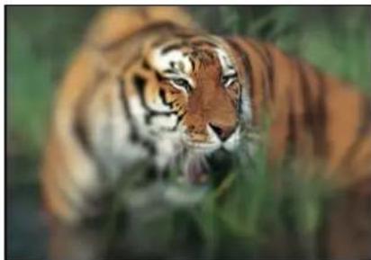 APPLE Motion 5.1 - Variable Blur - 2