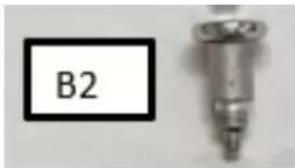 B2