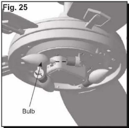 Fig. 25 Bulb