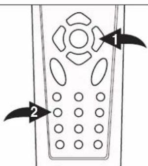 Diagram of a remote control with labeled buttons and keypad layout