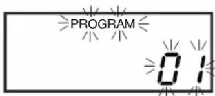 PROGRAM 0:1