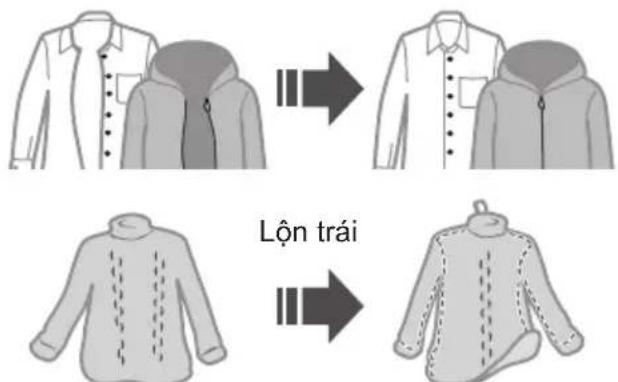 Lệnh trái