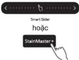 Smart Slider hoặc StainMaster +