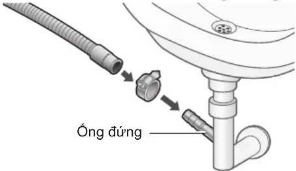 Óng đúng