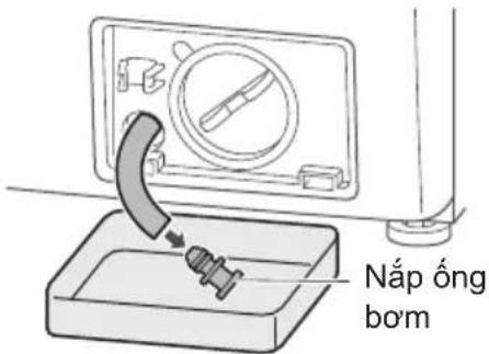 Nắp ống bơm
