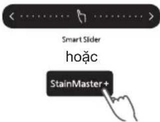 Smart Slider hoặc StainMaster +