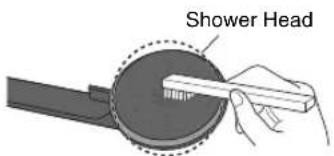 Shower Head