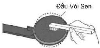 Đầu Vòi Sen