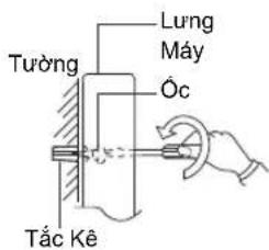 Tường Lung Mây Óc Tắc Kê